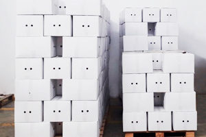 Cajas-GreciaNuevoFuturo